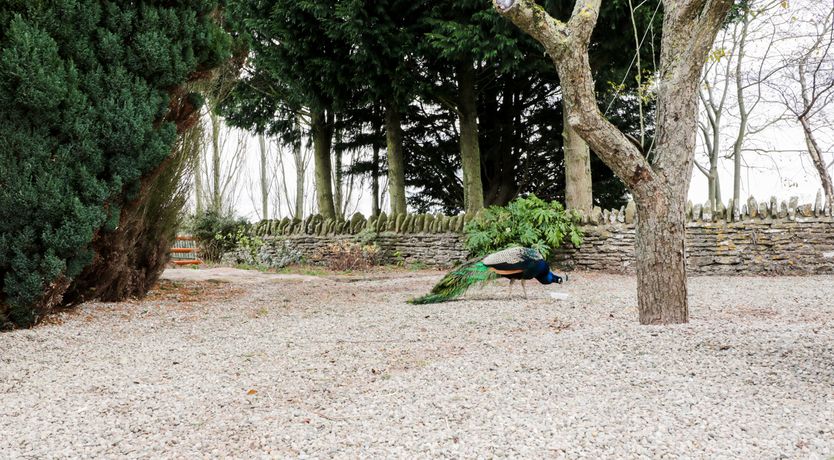 Photo of Broadway Lands Farm