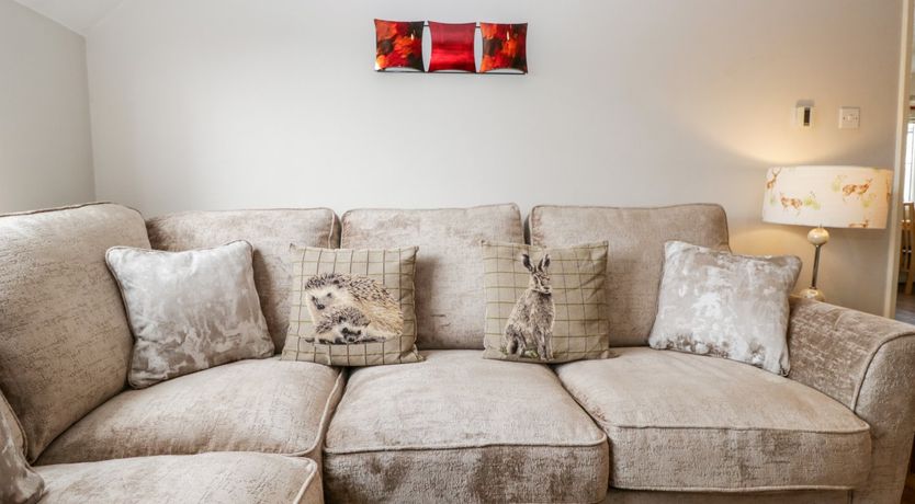 Photo of Tree Tops View