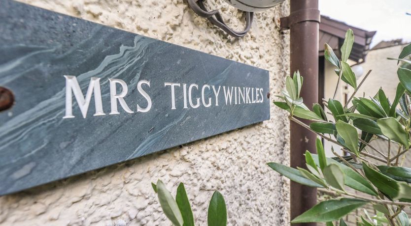 Photo of Mrs Tiggywinkles