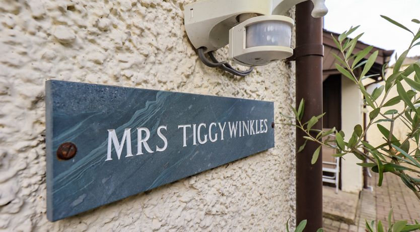 Photo of Mrs Tiggywinkles