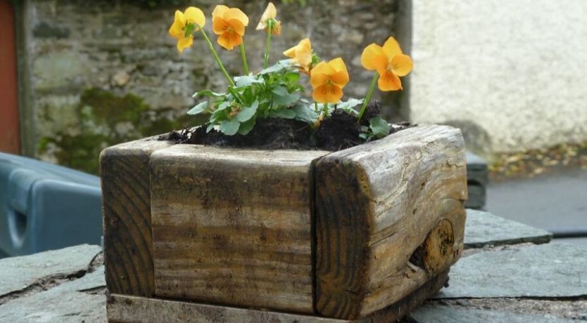 Photo of Nightingale Cottage