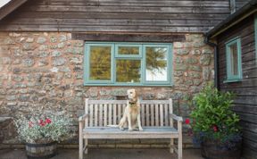 Photo of in Honiton  (41043)