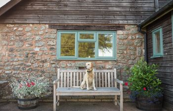 Barn in Mid and East Devon Holiday Cottage