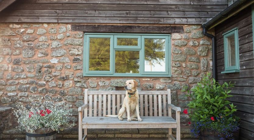 Photo of in Honiton  (41043)