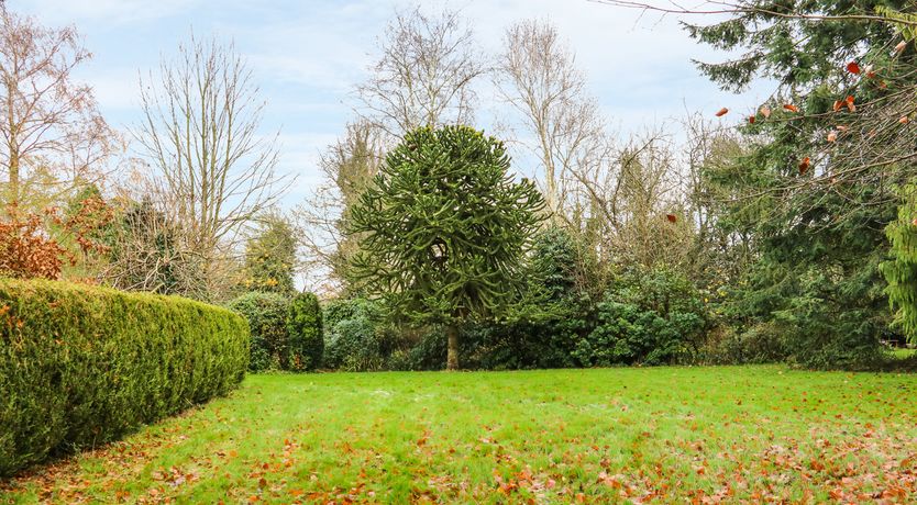 Photo of The Annex at 60 Rectory Lane