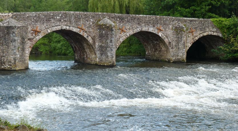Photo of Fig Tree Cottage