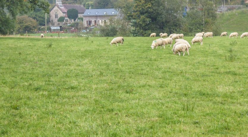Photo of Tynddol Barn
