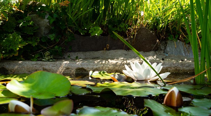 Photo of 3 Horse Pool Road