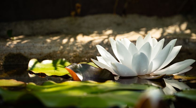 Photo of 3 Horse Pool Road