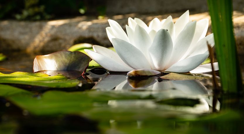 Photo of 3 Horse Pool Road