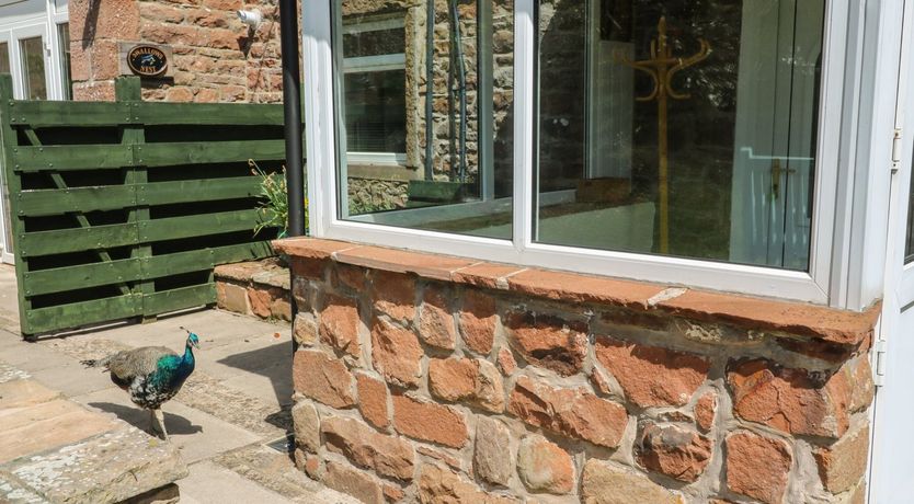 Photo of Mousehole Cottage