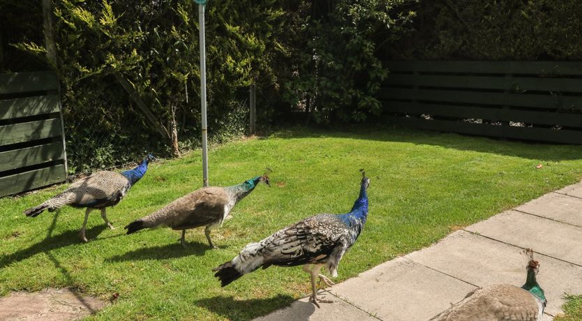 Photo of Mousehole Cottage
