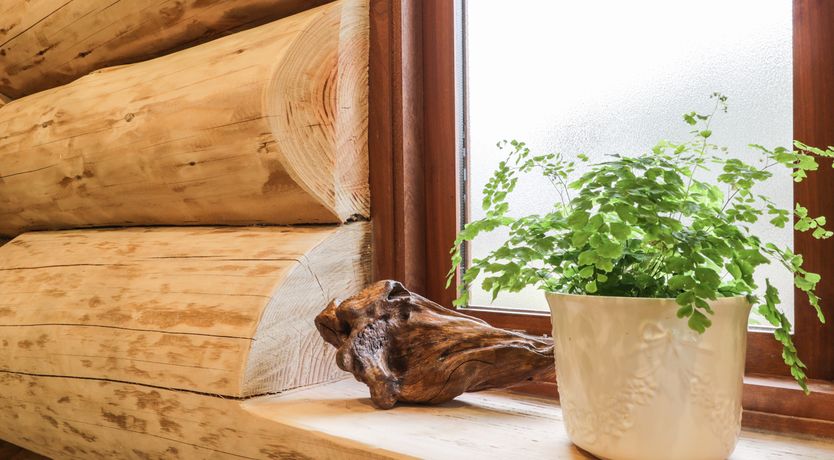 Photo of Moorhen Lodge