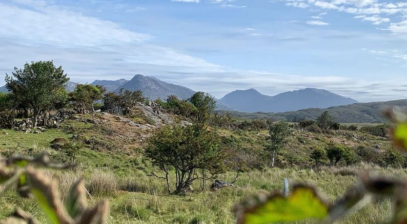 Photo of 414 Roundstone