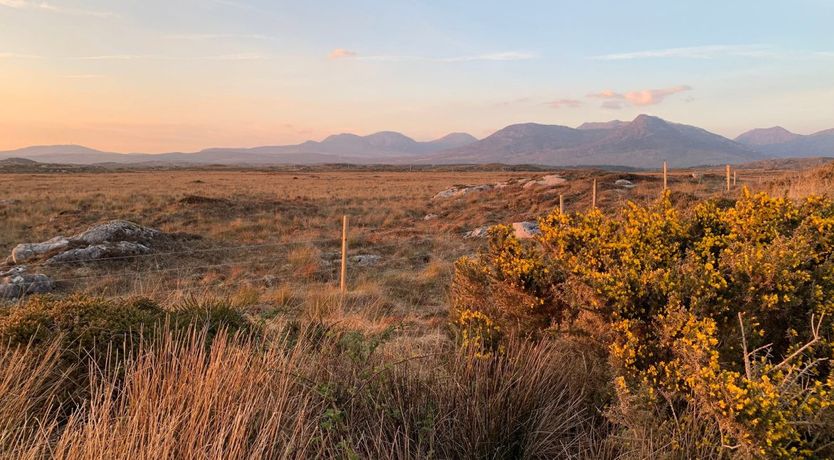 Photo of 414 Roundstone