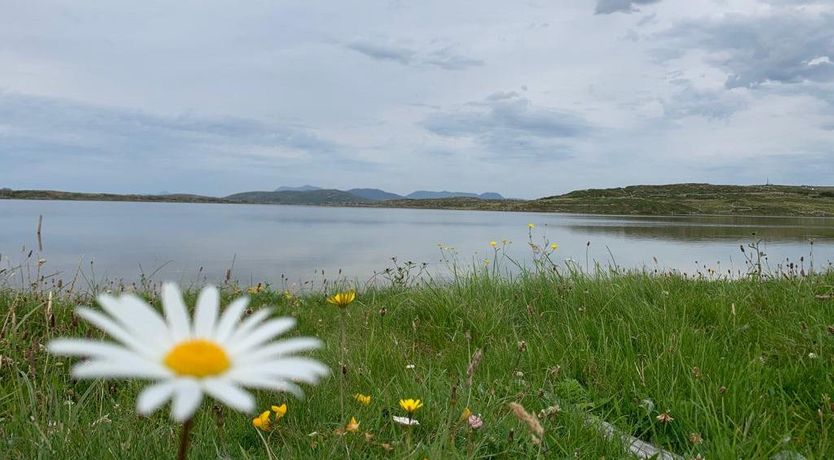 Photo of 414 Roundstone