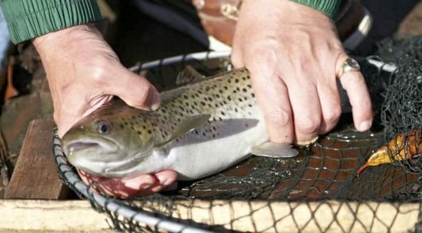 Photo of Renvyle 218 Little Killary