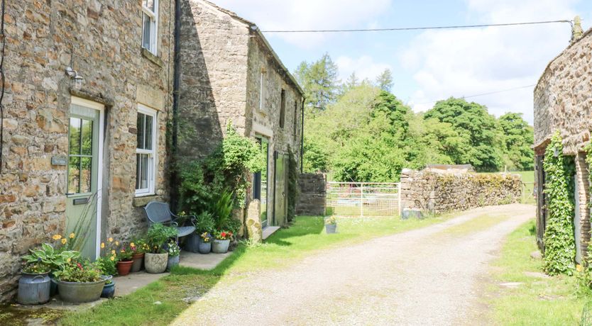 Photo of The Curlews