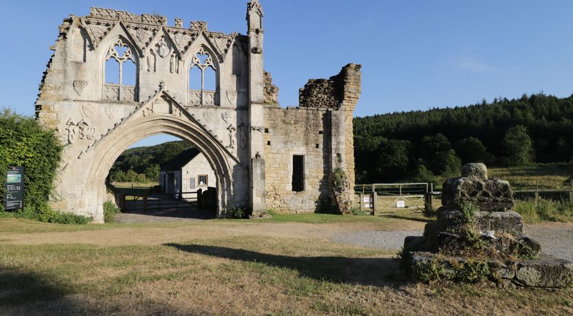 Photo of Dutch Blues