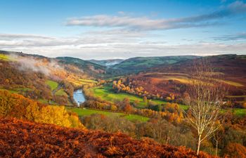 Sgrech y coed   - Jay Holiday Cottage