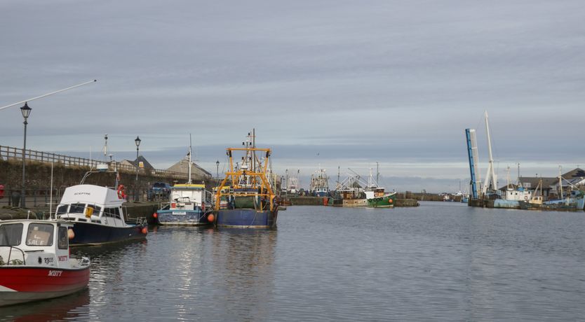 Photo of Harbour Side