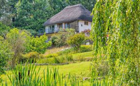 Photo of in Godshill (56431)