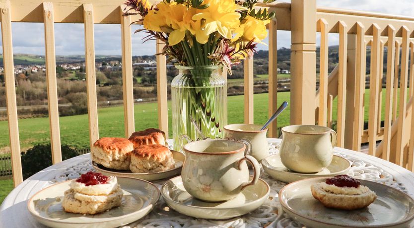 Photo of Little Acorn