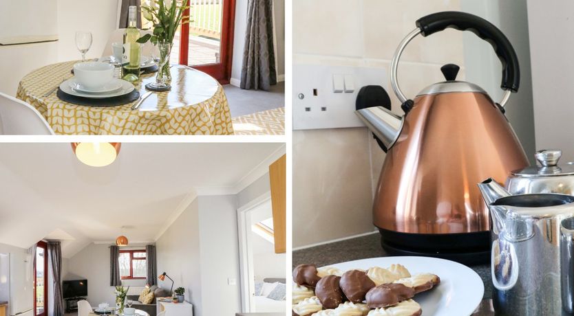 Photo of Little Acorn