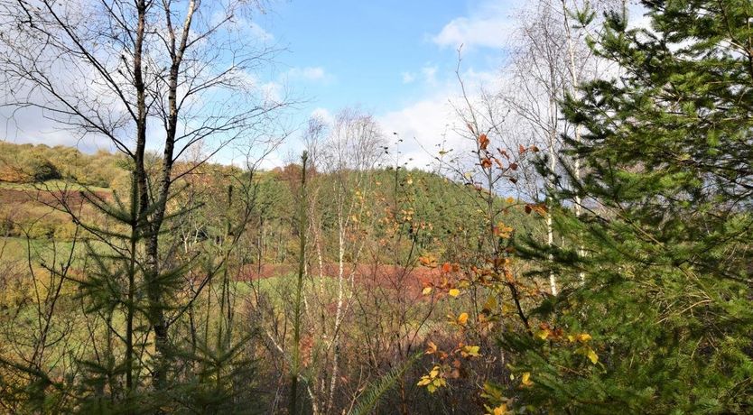 Photo of 1 Bed in Bampton