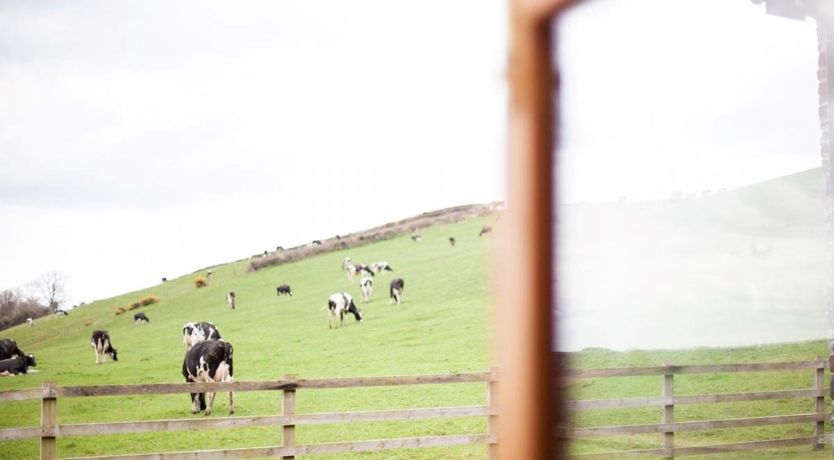 Photo of 5 Bed in Bideford