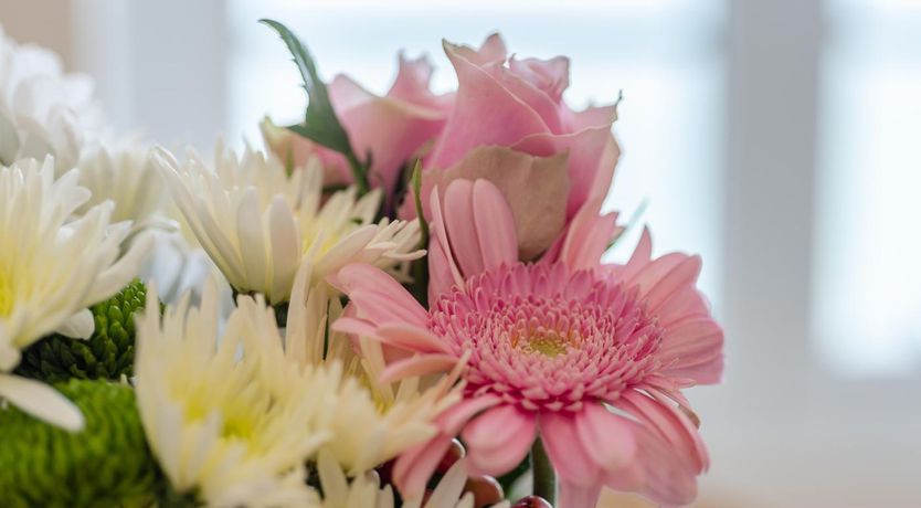 Photo of 2 Bed in Ilfracombe