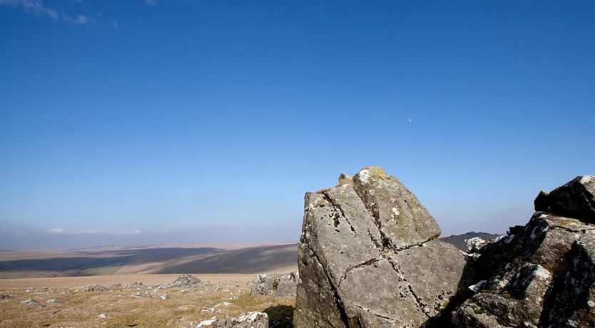 Photo of 1 Bed in Kingskerswell