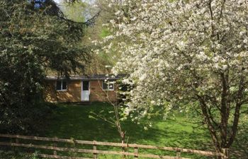 2 Bed in Newton Abbot Holiday Cottage