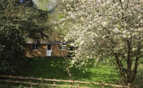 Photo of in Bovey Tracey (WOODC)