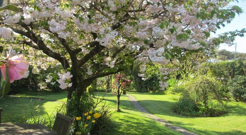 Photo of 2 Bed in Kilkhampton