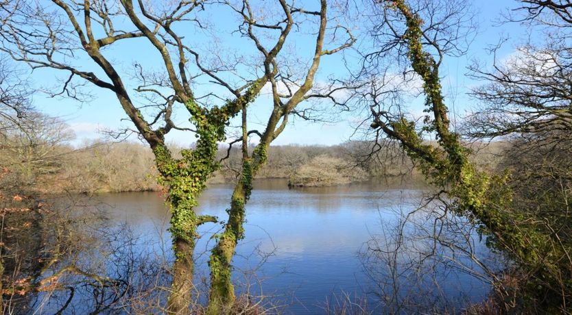 Photo of 1 Bed in Tredinnick Pits