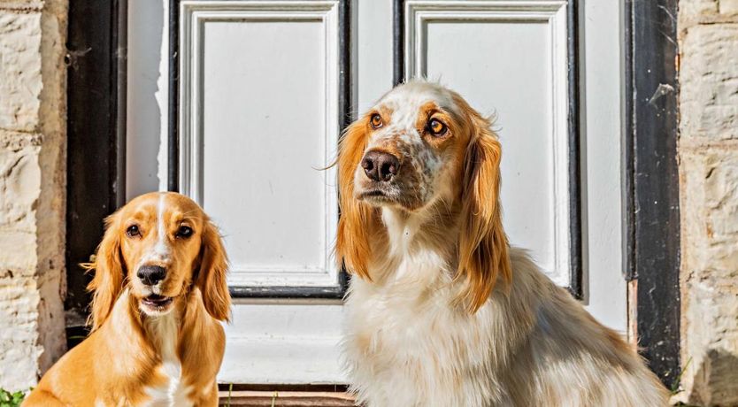 Photo of 1 Bed in West Camel