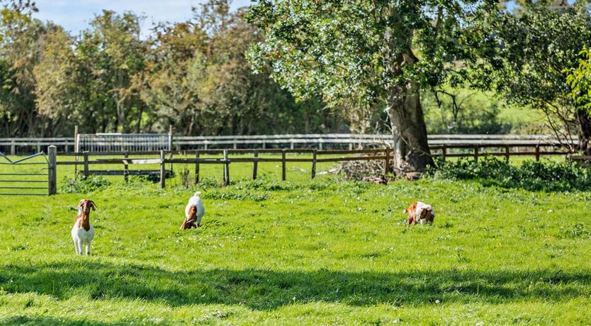 Photo of 1 Bed in West Camel