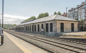 Photo of Mallard @ Engine Shed