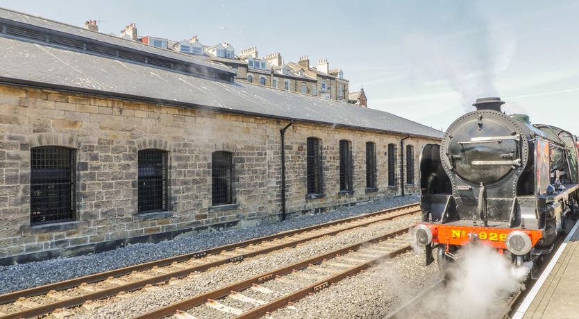 Photo of Mallard @ Engine Shed