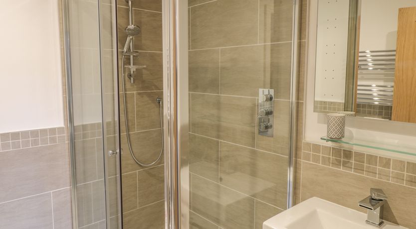 Photo of Mallard @ Engine Shed