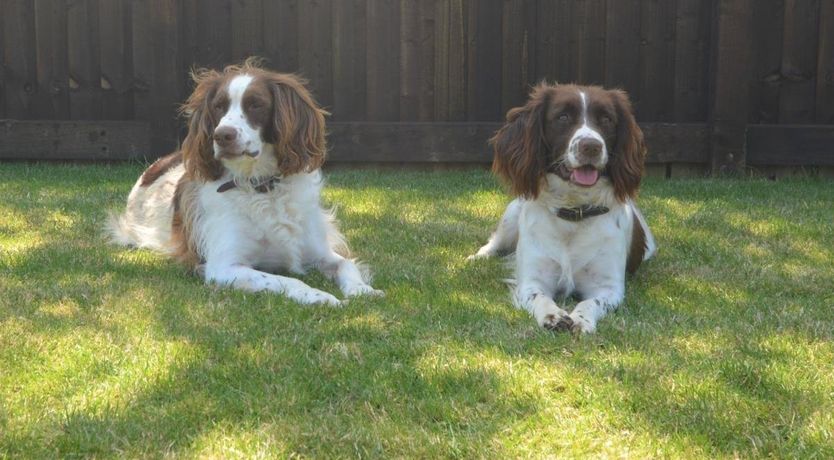 Photo of 3 Bed in Gulval