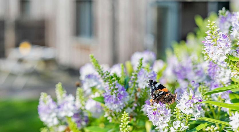 Photo of 3 Bed in Gulval