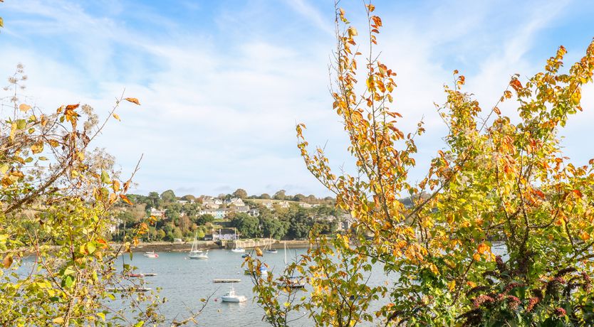 Photo of The Old Cows House