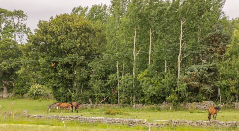 Photo of Thirley Beck Lodge
