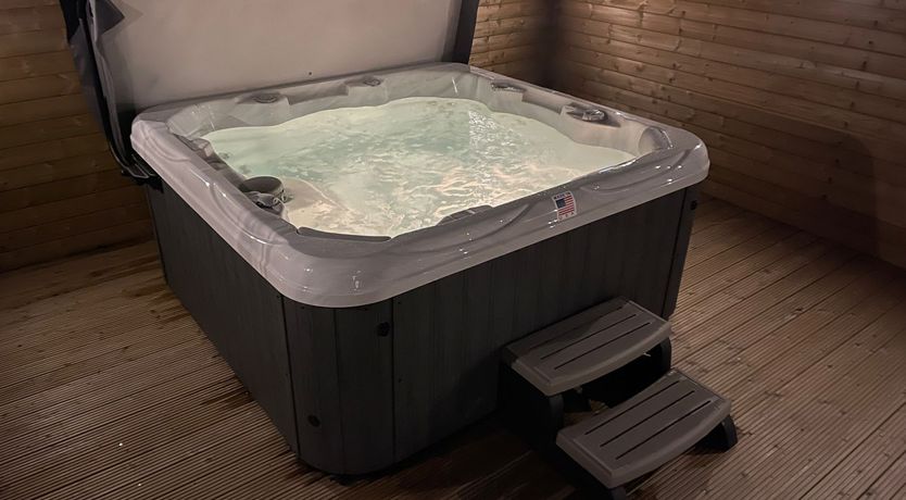 Photo of Willow, Retallack