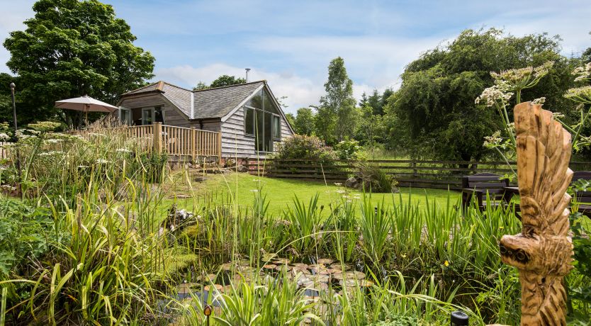 Photo of Kidcleugh Hide