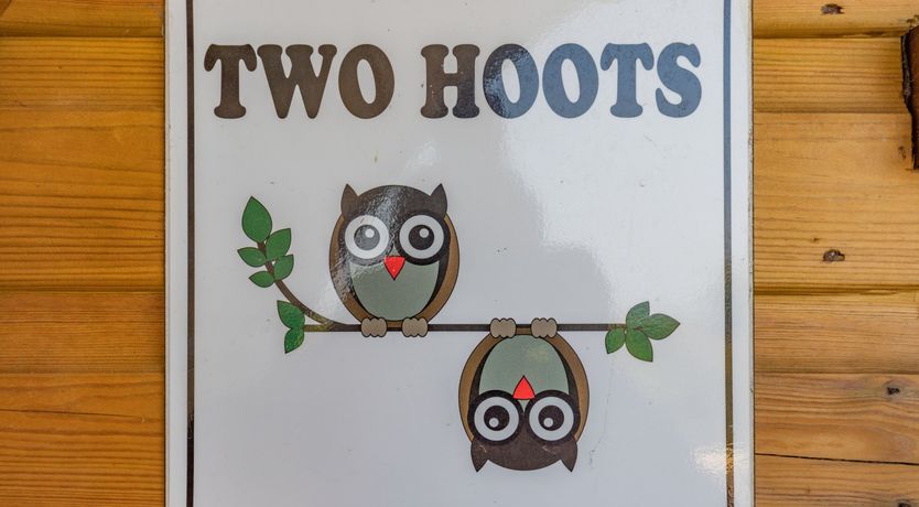 Photo of Two Hoots