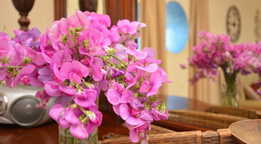 Photo of 3 Bed in Dolgellau