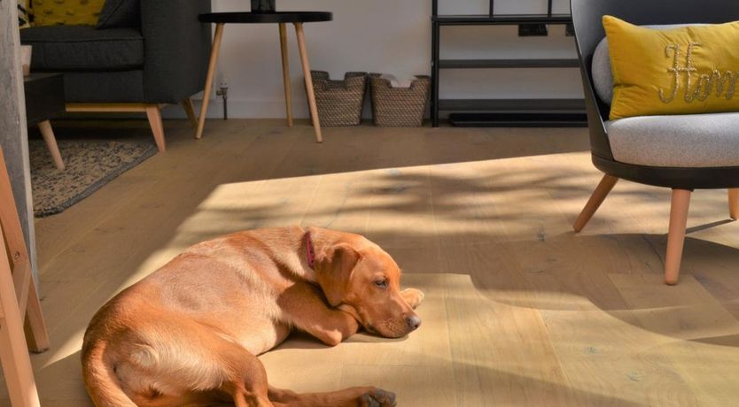 Photo of 1 Bed in Lyme Regis